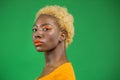 Close-up stylish portrait of an african american model in the center of a green studio. Pleasant fashion and calm female Royalty Free Stock Photo