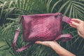 Close up of stylish snakeskin luxury python handbag on a tropical background. Royalty Free Stock Photo