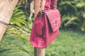 Close up of stylish snakeskin luxury python handbag on a tropical background. Royalty Free Stock Photo