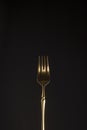 Close-up of a stylish steel gold fork on a dark background. Vertical position. Copy space