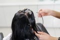 Hair extensions installation at crown with sectioning template and micro bead method in salon Royalty Free Stock Photo