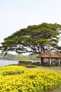 Suan Luang Rama 9, a beautiful public garden in Bangkok, Thailand