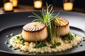 Close-up of a succulent gourmet dish in a high-end restaurant, seared scallops resting on a bed of