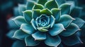 A close up of a succulent plant with green leaves, AI