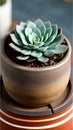 A close-up of a succulent plant in a pot illustration Artificial Intelligence artwork generated Royalty Free Stock Photo