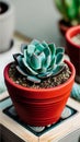 A close-up of a succulent plant in a pot illustration Artificial Intelligence artwork generated Royalty Free Stock Photo