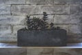 Close up of succulent plant in the stone rectangular pot on a shelf against a brick wall Royalty Free Stock Photo