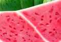 A close-up of a succulent watermelon slice, its juicy, pink flesh glistening in the sun.