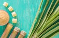 Close up sugar cane on rustic wood table.Brown sugar and cane on wood background.Cane top view.Cane .