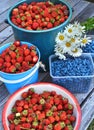 Close up of summer gather of berries