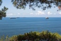 Close-up of the summer landscape. Blue sea, clouds over the horizon and cargo ships, view through the green branches of trees