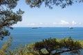 Close-up of the summer landscape. Blue sea, clouds over the horizon and cargo ships, view through the green branches of trees