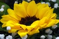 close-up sunflower in a bouquet, beautiful yellow flower