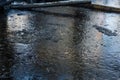 A close up of the surface of black oil pollution on water. Closeup of an oil slick in water with fall colors in the grass on the Royalty Free Stock Photo