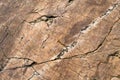 Surface of rock cliff, stone textured, Royalty Free Stock Photo