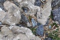 Close up surface of gravel and concrete ground textures in high resolution Royalty Free Stock Photo