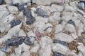 Close up surface of gravel ground textures in high resolution Royalty Free Stock Photo