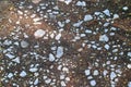 Close up surface of gravel ground textures in high resolution Royalty Free Stock Photo