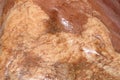 Close-up of the surface of a marinated piece of meat as a background or texture. Royalty Free Stock Photo