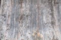 close-up of the surface of old cement wall,old texture of wallpaper color backgrounds Royalty Free Stock Photo