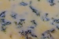 Close up of surface of Stilton Cheese forming background Royalty Free Stock Photo