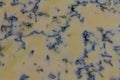 Close up of surface of Stilton Cheese forming background Royalty Free Stock Photo