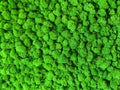 Close-up surface of the wall covered with green moss. Modern eco friendly decor made of colored stabilized moss. Natural Royalty Free Stock Photo