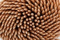 Close up ,The surface wooden bamboo toothpicks used as background . Royalty Free Stock Photo