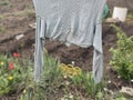 Close up of sweater drying on rope in kitchen garden. Grey clothes drying outdoors in countryside.