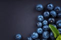 Close-up of sweet blueberries with mint. Blueberries on a dark background. Fresh, healthful and tasty berries.