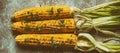 Close-up of sweet corn grilled with herbs and sea salt on a grunge background, wide composition. Photo toned. Top view, flat lay