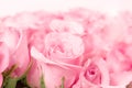 close up sweet light pink on pink abstract lighting background