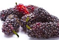 Close up sweet mulberry on white background Royalty Free Stock Photo