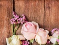 Sweet pink roses flower patterns on wood wall background Royalty Free Stock Photo