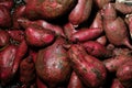 Fresh sweet potato with root at farmer market as a food background. Royalty Free Stock Photo