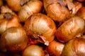 A close up of sweet onions. Royalty Free Stock Photo