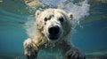 Close-up of a swimming polar bear underwater looking at the camera. Generative AiClose-up of a swimming polar bear underwater