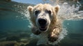 Close-up of a swimming polar bear underwater looking at the camera. Generative Ai