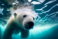 Close-up of a swimming white polar bear underwater looking at the camera. International polar bear day. Royalty Free Stock Photo