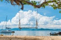 Close-up of a swing on a tree in the tropics against the sea Royalty Free Stock Photo