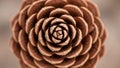 A close up of a symmetrical pine cone from a deodar cedar Cedrus deodara Royalty Free Stock Photo