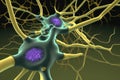 close-up of a synapse, with the presynaptic and postsynaptic neurons visible Royalty Free Stock Photo