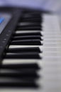 Close-up of synth keys with a soft blurred background