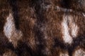 Close-up of synthetic fur imitating fur of animal