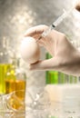 Close-up of syringe injecting egg Royalty Free Stock Photo