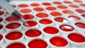 Close up of syringe taking a sample of red liquid from a group of round red clinical samples