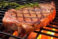 close-up of a t-bone steak grilling, showing texture and juiciness