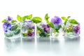 A close up of a table with a bunch of ice cubes and flowers. edible flower Royalty Free Stock Photo