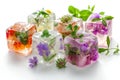 A close up of a table with a bunch of ice cubes and flowers. edible flower Royalty Free Stock Photo