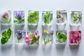 A close up of a table with a bunch of ice cubes and flowers. edible flower Royalty Free Stock Photo